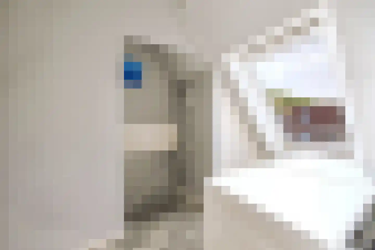 Bunderbos 128 Hoofddorp thumbnail 36