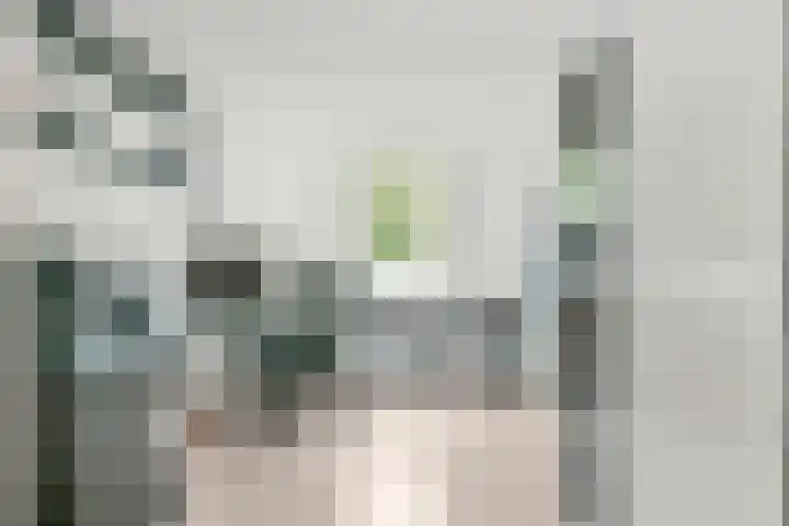Bunderbos 20 Hoofddorp thumbnail 14