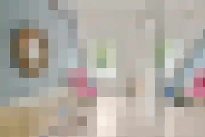 Bunderbos 20 Hoofddorp thumbnail 16