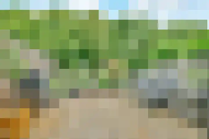 Bunderbos 20 Hoofddorp thumbnail 20