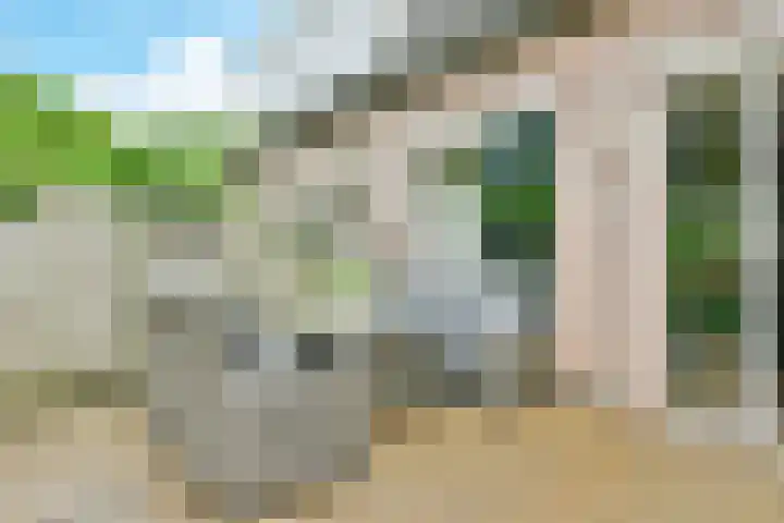 Bunderbos 20 Hoofddorp thumbnail 21