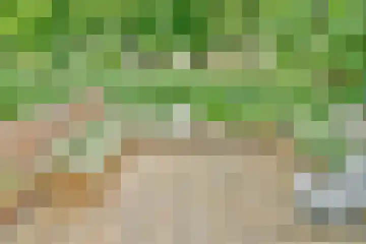 Bunderbos 20 Hoofddorp thumbnail 22
