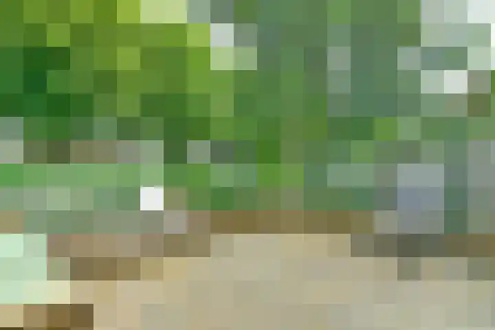 Bunderbos 20 Hoofddorp thumbnail 23