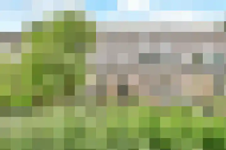 Bunderbos 20 Hoofddorp thumbnail 26