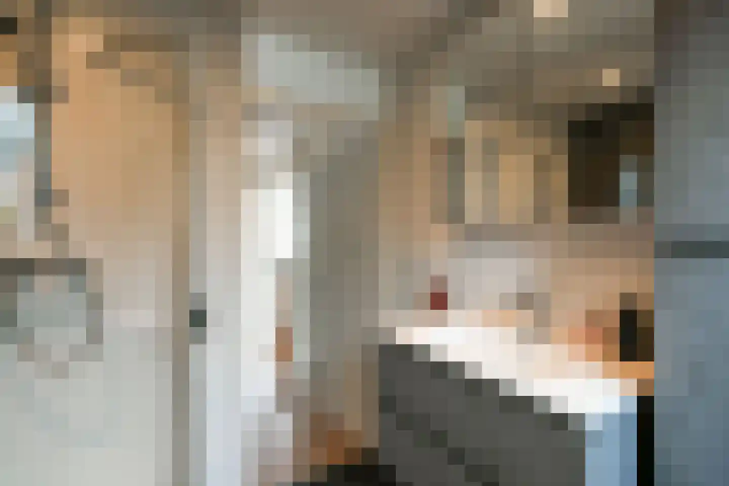 Bunderbos 72 Hoofddorp thumbnail 25
