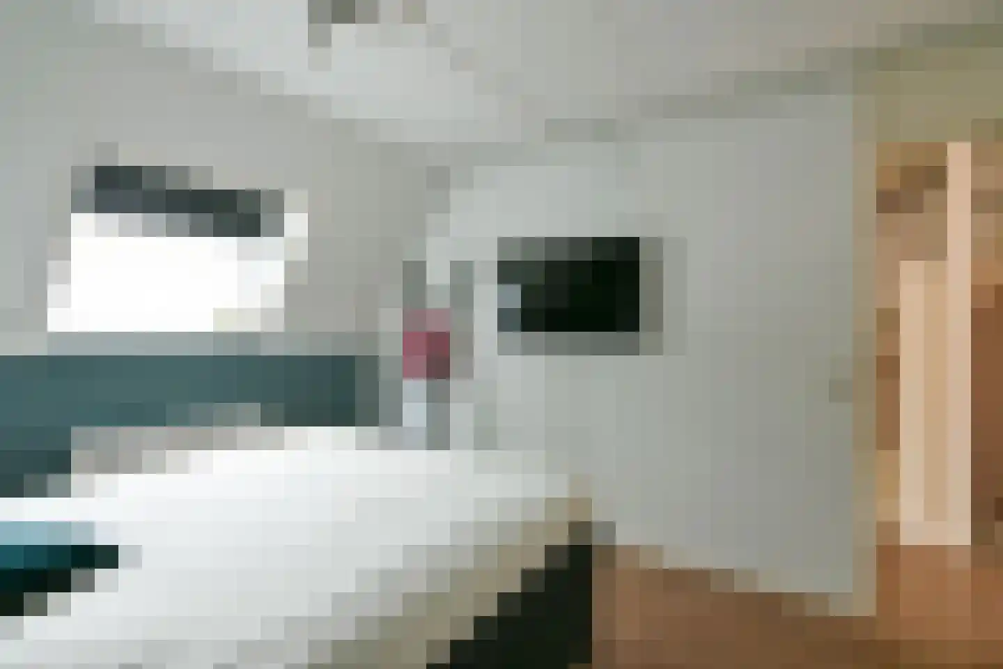 Bunderbos 72 Hoofddorp thumbnail 27