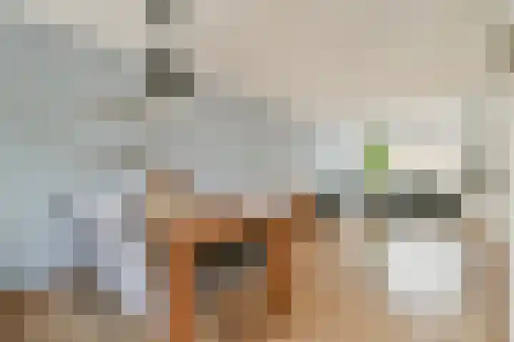 Bunderbos 88 Hoofddorp thumbnail 10