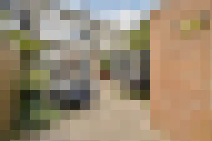 Bunderbos 88 Hoofddorp thumbnail 11