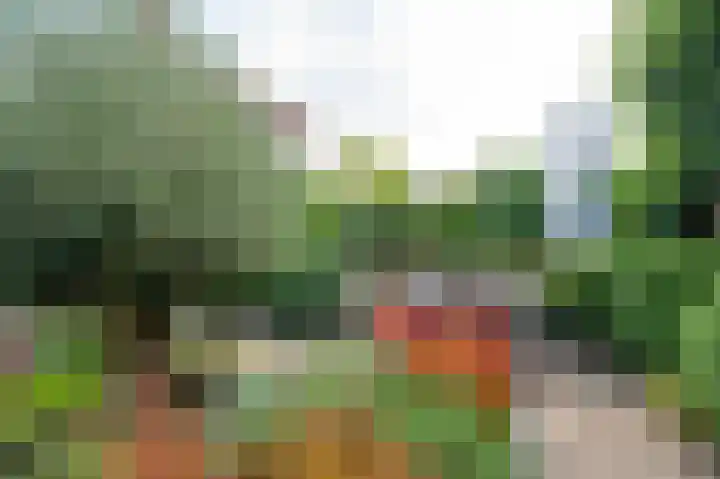 Bunderbos 88 Hoofddorp thumbnail 19