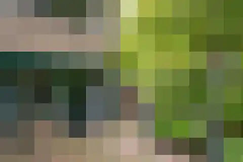 Bunderhorst 136 Doetinchem thumbnail 39