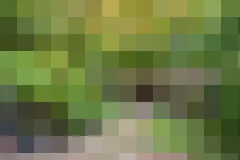 Bunderhorst 136 Doetinchem thumbnail 43
