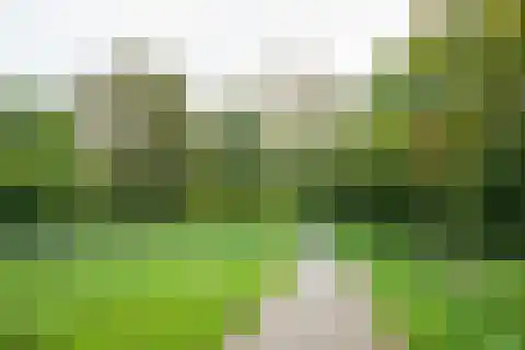 Bunderhorst 136 Doetinchem thumbnail 55