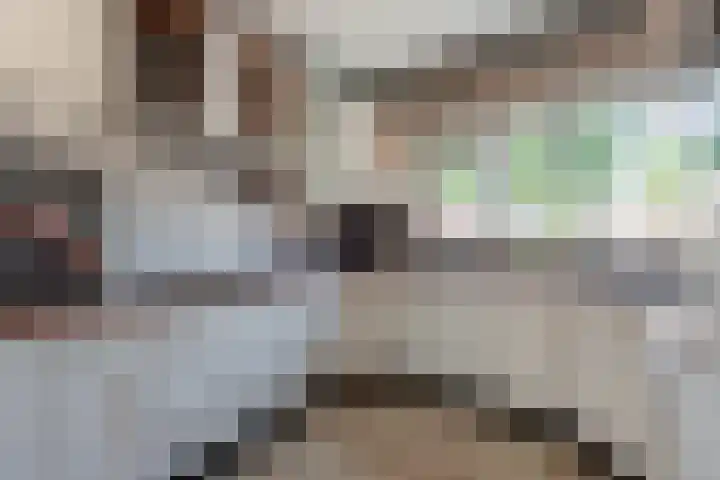 Bunderhorst 4 Doetinchem thumbnail 10