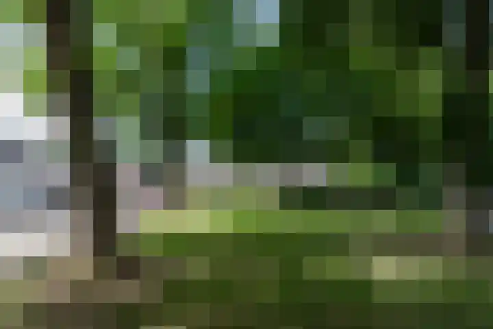 Bunderhorst 4 Doetinchem thumbnail 35
