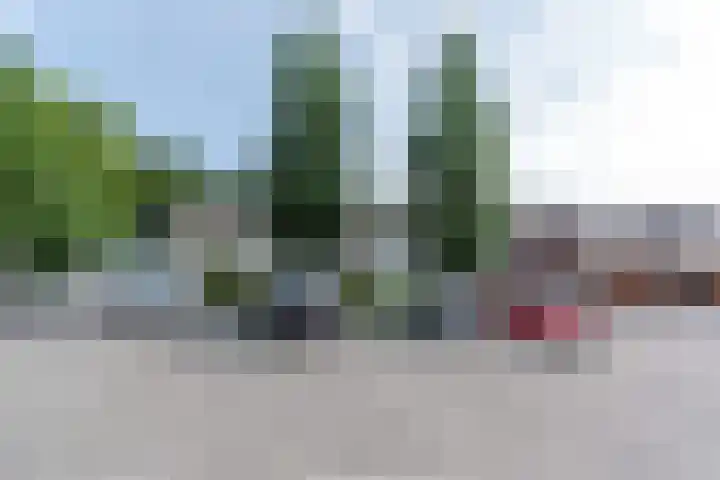 Bunderhorst 4 Doetinchem thumbnail 39