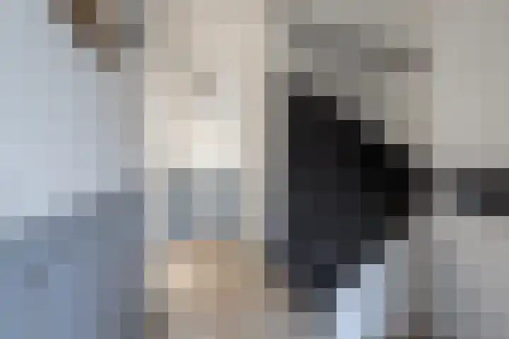 Bunderhorst 4 Doetinchem thumbnail 6