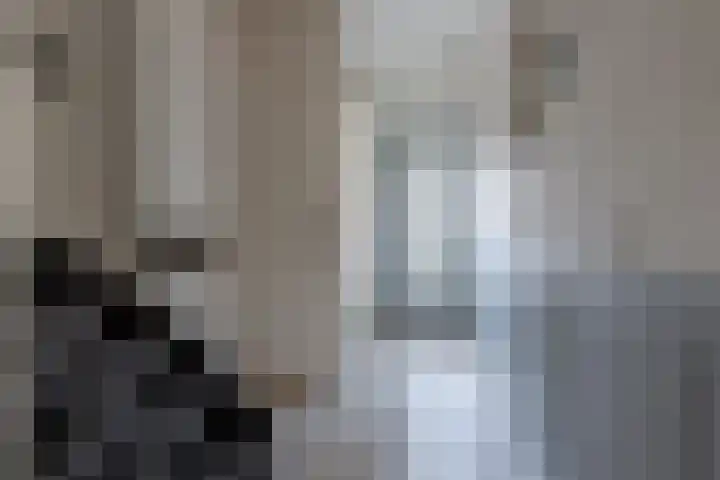 Bunderhorst 4 Doetinchem thumbnail 7