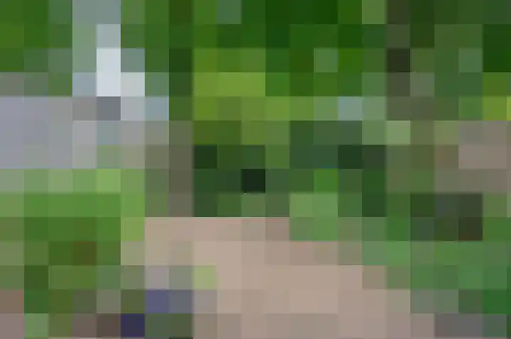 Bunderhorst 8 Doetinchem thumbnail 33