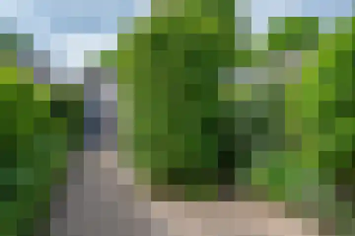 Bunderhorst 8 Doetinchem thumbnail 9