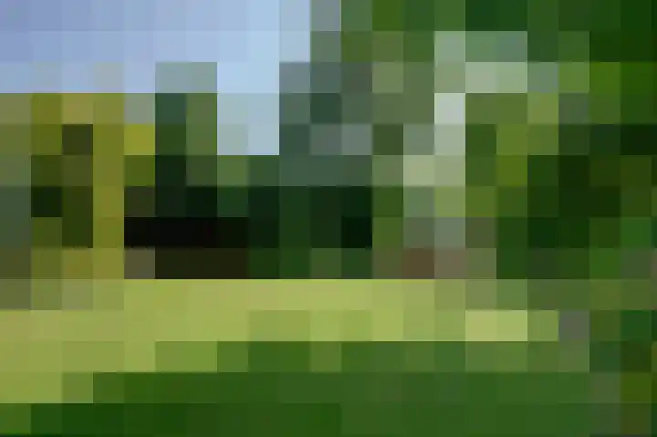 Bunderpoort 5 Bad Nieuweschans thumbnail 10