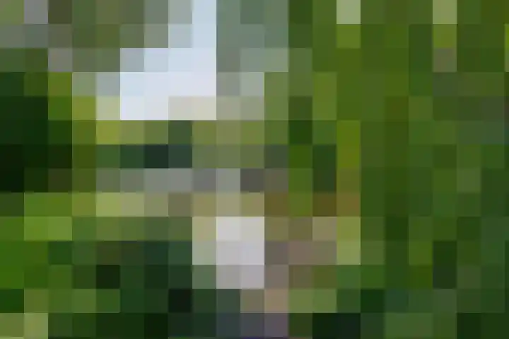 Bunderpoort 5 Bad Nieuweschans thumbnail 11