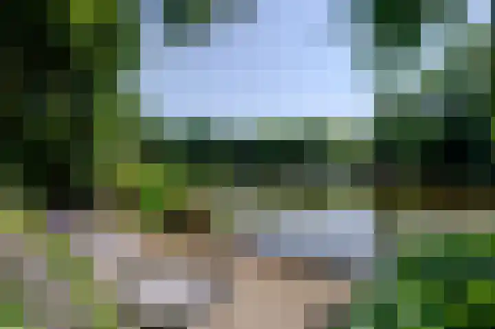Bunderpoort 5 Bad Nieuweschans thumbnail 12