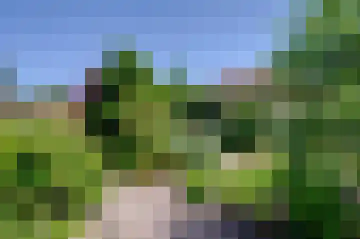 Bunderpoort 5 Bad Nieuweschans thumbnail 14