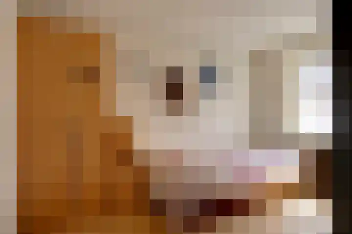 Bunderpoort 5 Bad Nieuweschans thumbnail 28