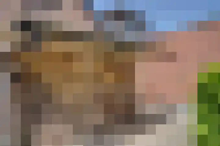 Bunderpoort 5 Bad Nieuweschans thumbnail 42