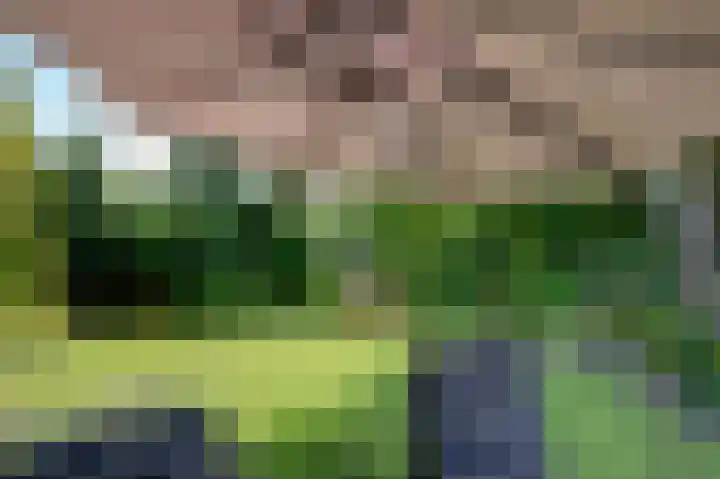Bunderpoort 5 Bad Nieuweschans thumbnail 43