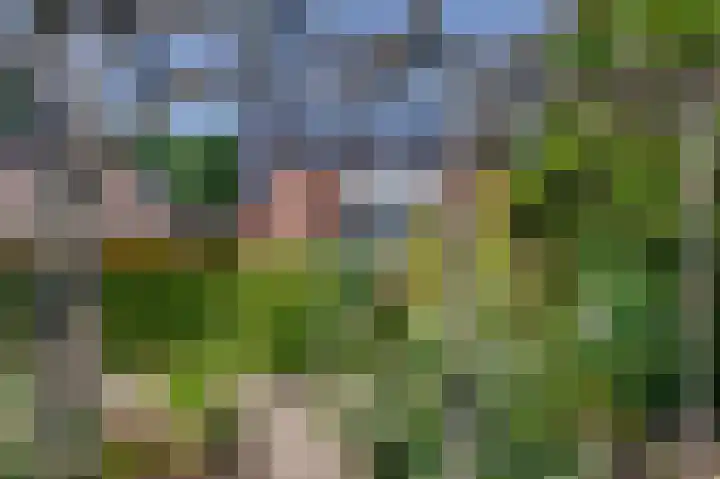 Bunderpoort 5 Bad Nieuweschans thumbnail 45
