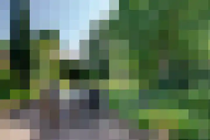 Bunderpoort 5 Bad Nieuweschans thumbnail 9