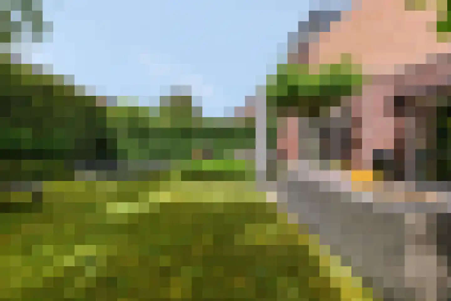 Bundersberg 16 Amersfoort thumbnail 43