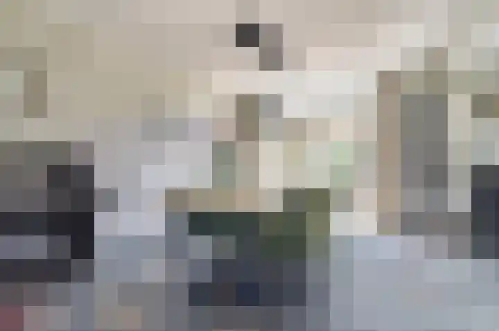 Bundersstraat 31 Oisterwijk thumbnail 8