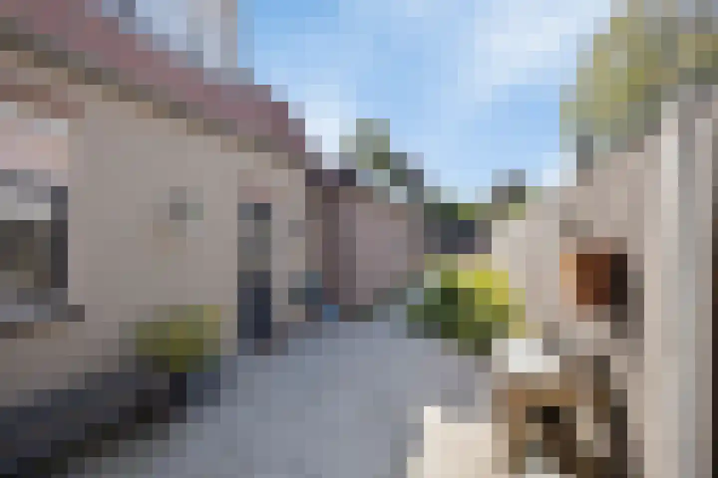 Bunderstraat 13 Valkenswaard thumbnail 39