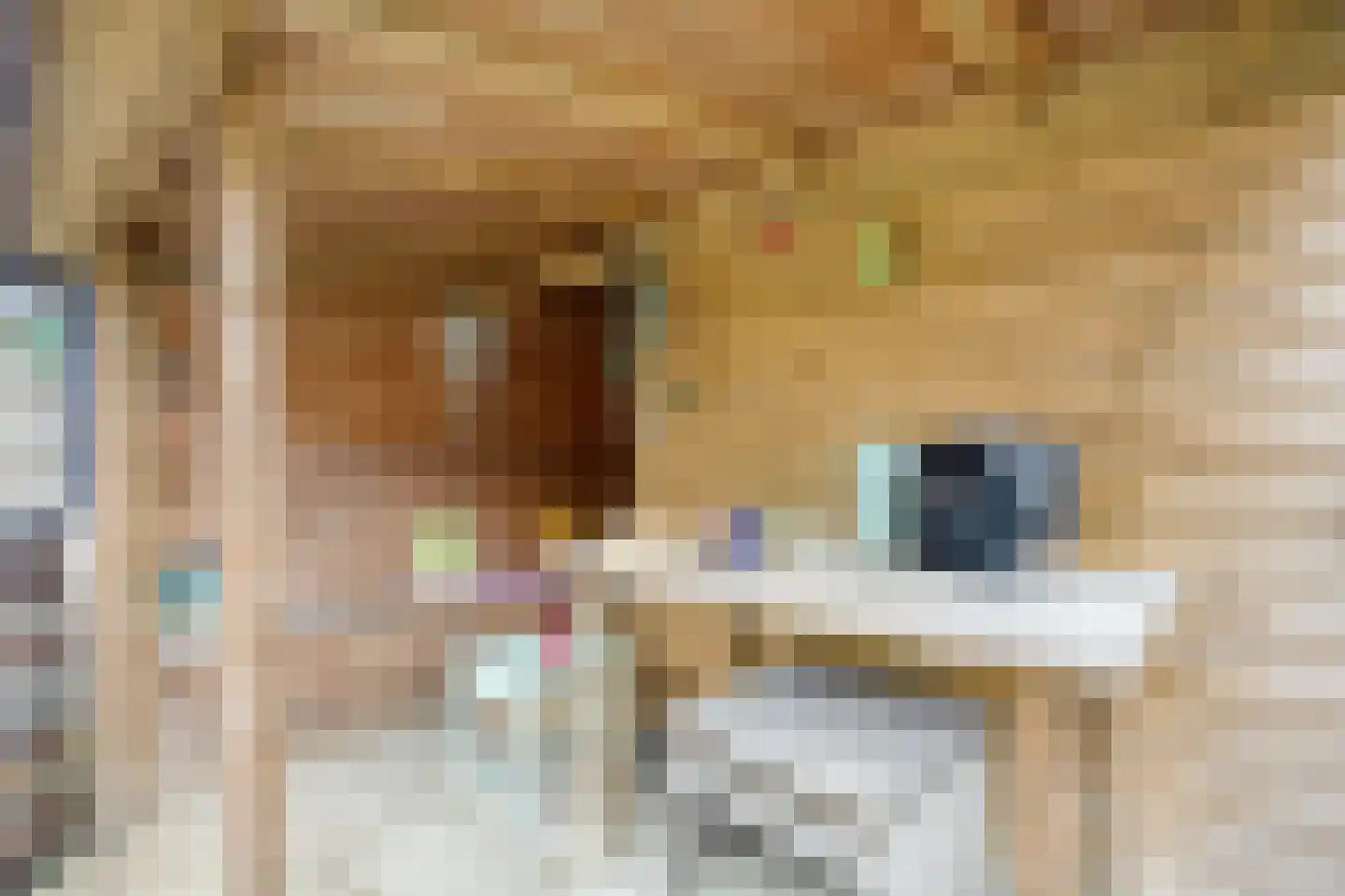 Bunderstraat 16 Purmerend thumbnail 35