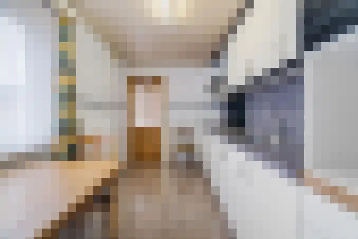 Bunderstraat 179 Meerssen thumbnail 8