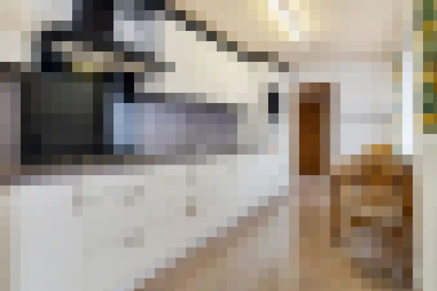 Bunderstraat 179 Meerssen thumbnail 9