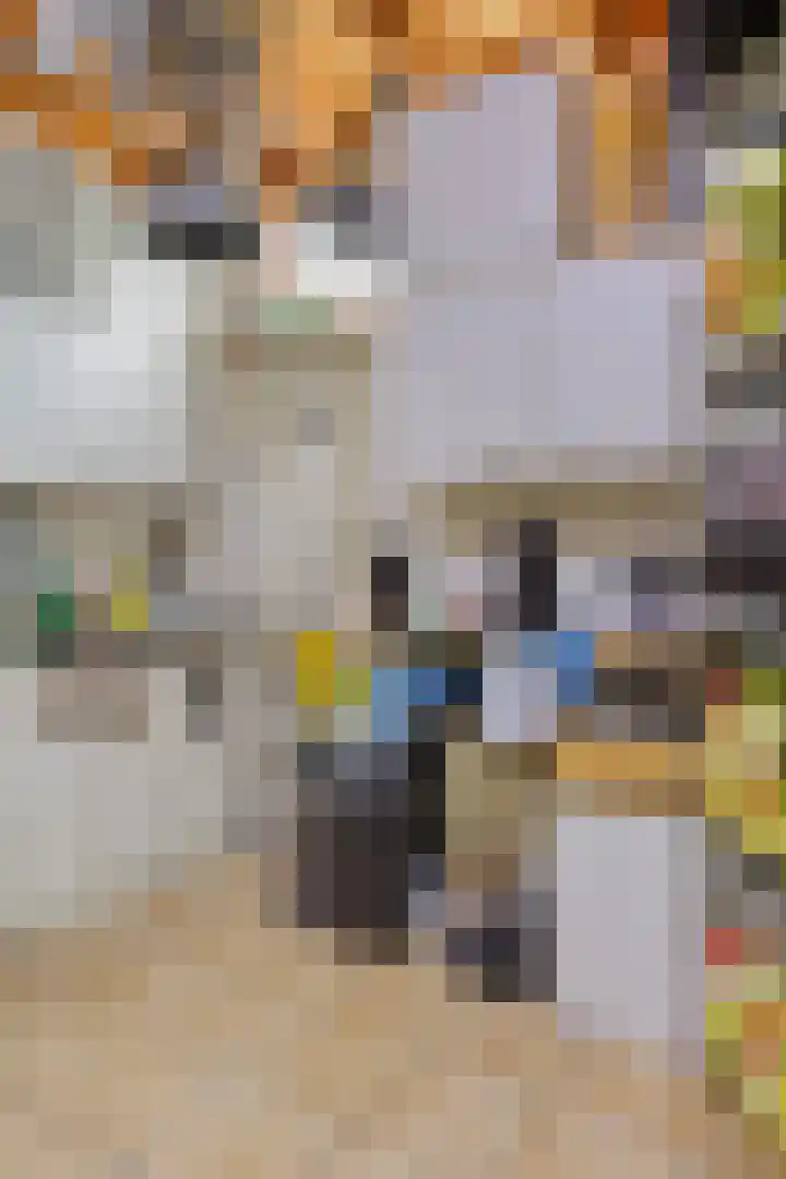 Bunderstraat 202 Meerssen thumbnail 31