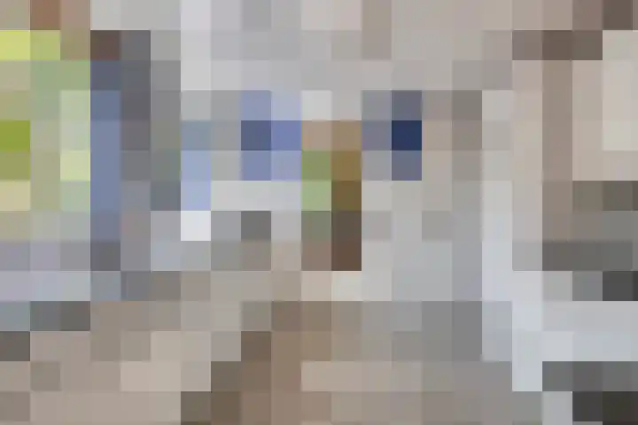 Bunderstraat 24 Valkenswaard thumbnail 12
