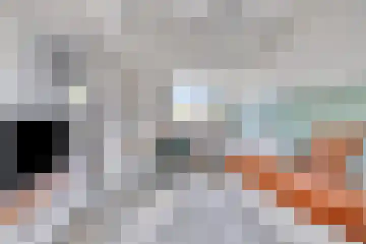Bunderstraat 24 Valkenswaard thumbnail 30