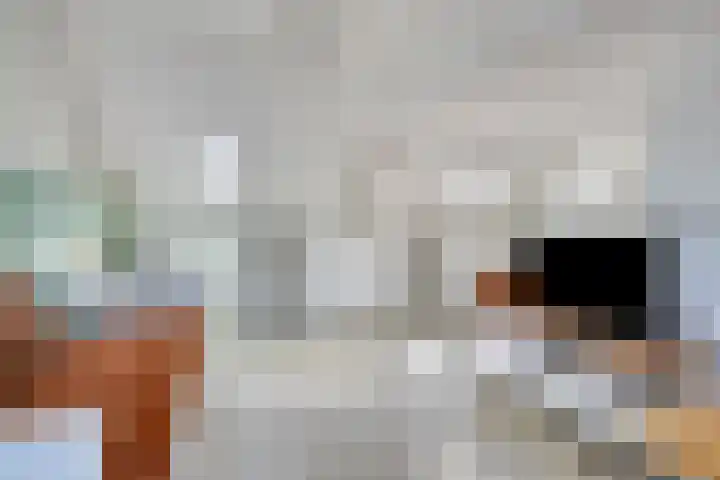Bunderstraat 24 Valkenswaard thumbnail 31