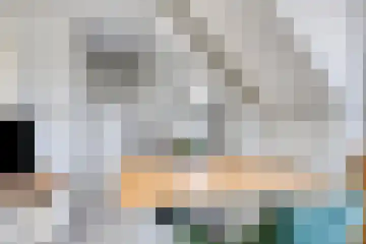 Bunderstraat 24 Valkenswaard thumbnail 32
