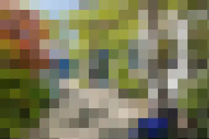Bunderstraat 24 Valkenswaard thumbnail 34