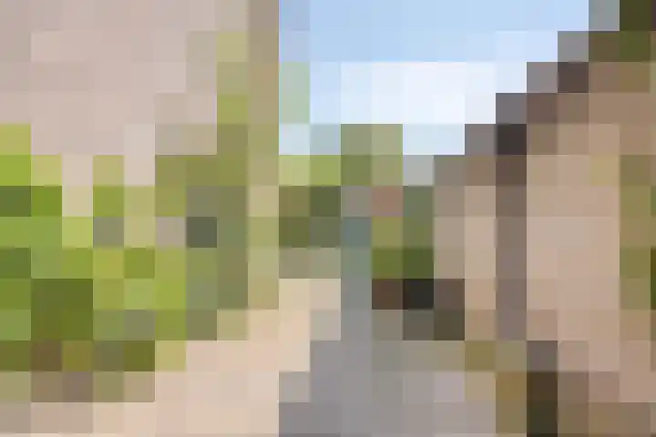 Bunderstraat 24 Valkenswaard thumbnail 36