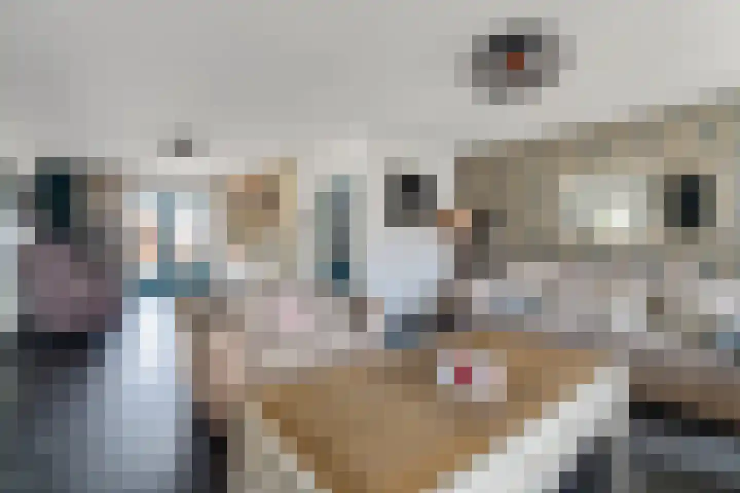 Bunderstraat 250 Meerssen thumbnail 6