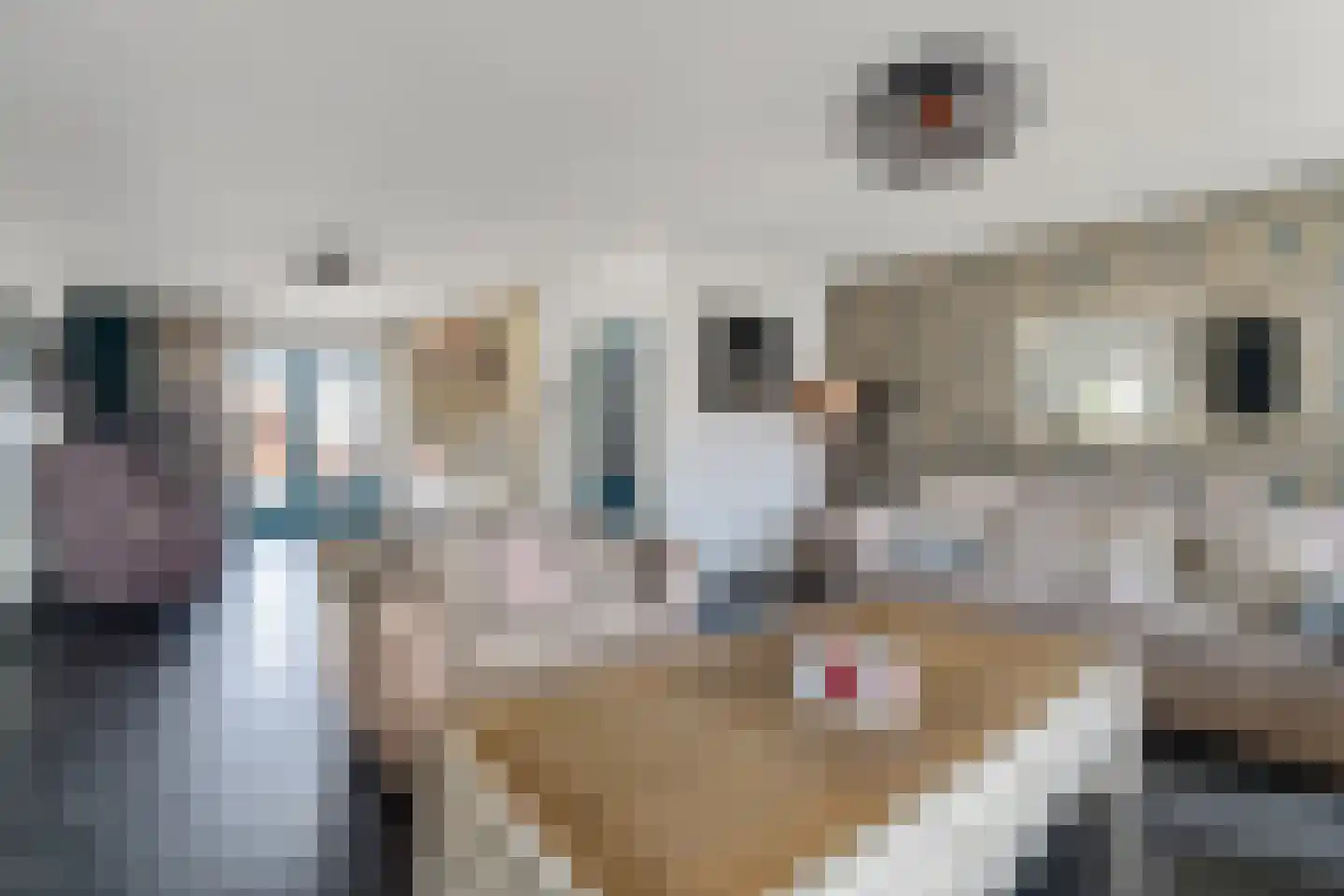 Bunderstraat 250 Meerssen thumbnail 6