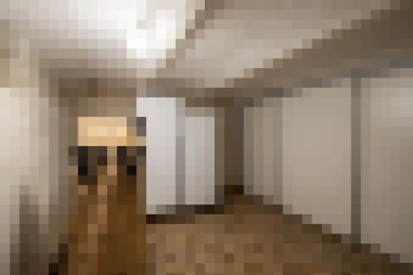 Bunderstraat 251 Meerssen thumbnail 23
