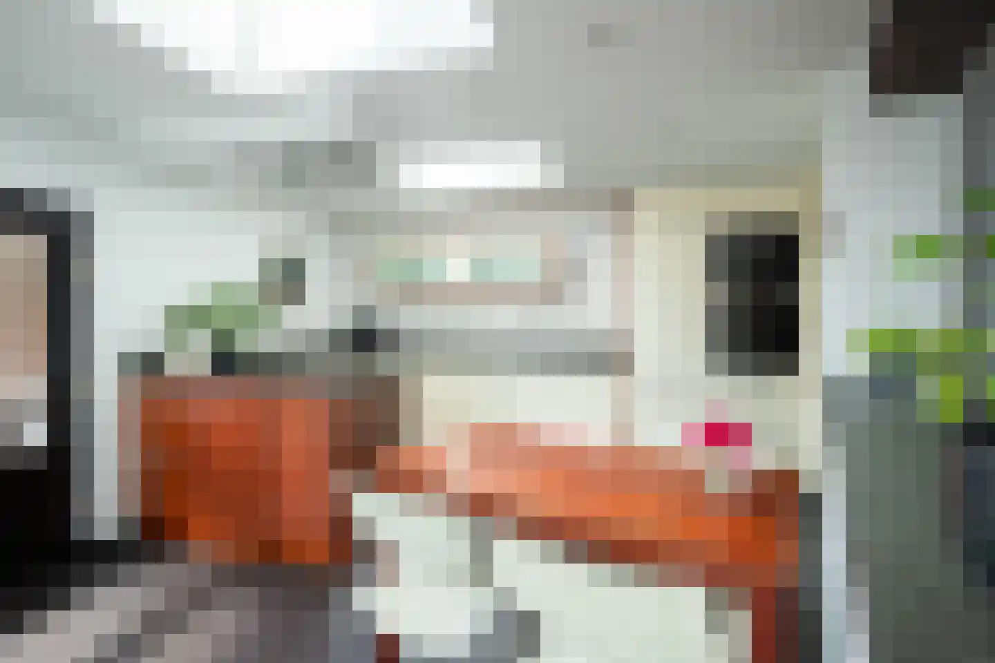 Bunderstraat 251 Meerssen thumbnail 4
