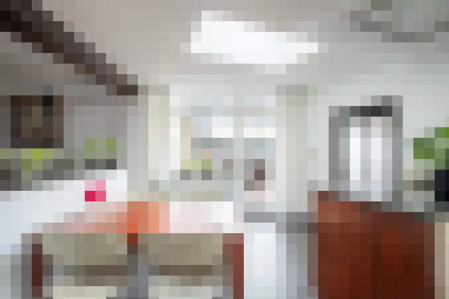 Bunderstraat 251 Meerssen thumbnail 9